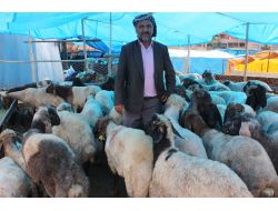 Hayvan Sahipleri, Kurbanlık Satışlarından Memnun Değil