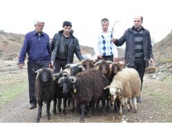 Bingöl’de Yaralanan Mehmetçikten Vefa Örneği