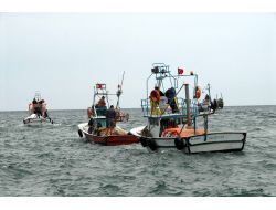 Karadeniz Florası Fakirleşiyor, Avlanan 23 Ticari Balık Türünden 5’i Kaldı