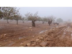 Selde Hayatını Kaybeden İki Bayan Toprağa Verildi