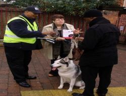 İngiltere'de Köpeklerin Sokakları Kirletmelerine Engel Olmayan Sahipleri Mahkemede Yargılanacak