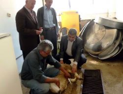 Alevi Dedesi: Yapılan Hizmetler Sosyal Sorumluluk Ve Barış Açısından Çok Önemli