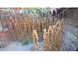 Bağbozumunda Toplanan Üzümden Pestil Ve Cevizli Sucuk Yapılıyor