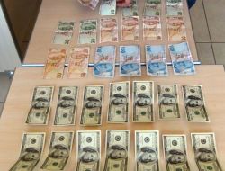 Muş’ta Sahte Abd Doları Operasyonu