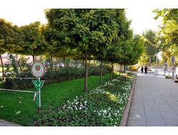 Malatya Sokakları Menekşelerle Süslendi