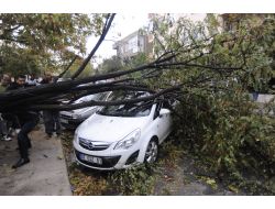 Çanakkale’de Fırtına Ağaçları Devirdi