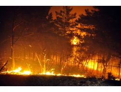 Manisa Spil Dağı'nda Çıkan Yangın, Rüzgarın Etkisiyle Hızla Yayılıyor