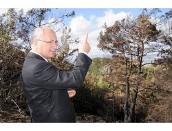 Daşöz: Yangında Sabotaj Önemli İhtimallerden Biri Olarak Ön Plana Çıkıyor