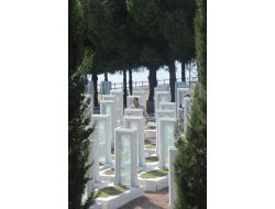 Şehit Ailelerine Çanakkale Şehitliği Ücretsiz Gezdirilecek