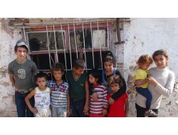 15 Kişilik Gezer Ailesi Batman'da Yarı Aç Yarı Tok Yaşam Mücadelesi Veriyor