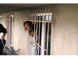 Pencere Korkuluklarına Kafası Sıkıştı