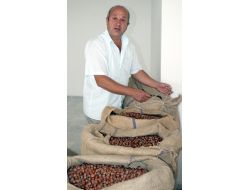 Giresun'da Fındık Fiyatı 5 Liraya Yükseldi