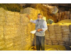 Bu Yıl Samana Yatırım Yapan Kazandı