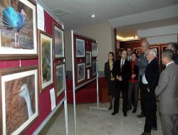 Mersin'de Yaşayan Kuş Türlerinin Fotoğrafları Sergilendi
