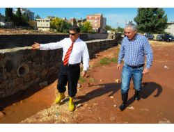 Selin Yaraları Sarılmaya Çalışılıyor