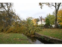 Abd Sandy Kasırgasının Açtığı Yaraları Sarıyor
