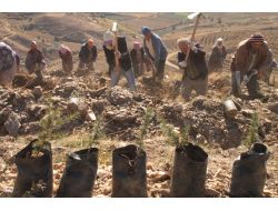 Bozdağlar Yeşile Bürünecek