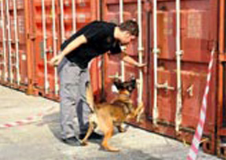 Seccadeler nasıl sigara oldu?