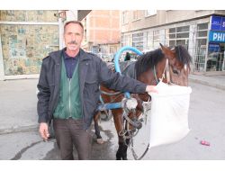 Nalbantlık Mesleğini At Arabacıları Yaşatıyor