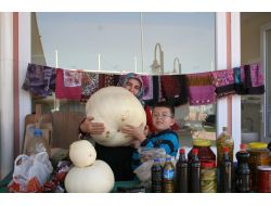 35 Kiloluk Kabak Görenleri Şaşırtıyor