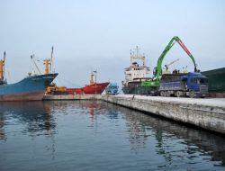 Mudanya İskelesi'nin Yükü Arttı!