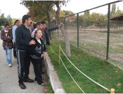 Çubuk Aile Yaşam Merkezi Üyesi Engelliler Hayvanat Bahçesini Gezdi