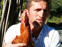 Horozu İçin Burun Estetiğinden Vazgeçti