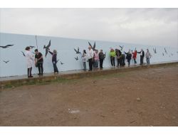 Burhaniye İskele Yat Limanı Boyanıyor