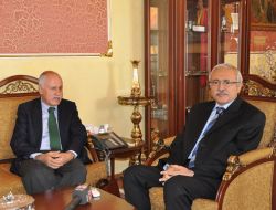 Dışişleri Bakanlığı Müsteşar Yardımcısı Göğüş, Sivas'ta