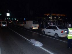 Yolun Karşısına Geçmek İsterken Hayatını Kaybetti