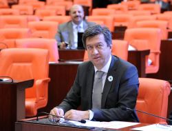 Chp'li Öğüt, Büyükşehirlerdeki Araç Çekme Uygulamasını Meclis'e Taşıdı