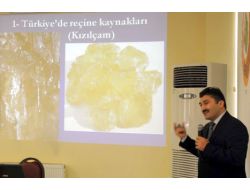 Reçine İthalatı Bitiyor, Türkiye Artık Kendi Reçinesini Üretecek!