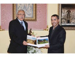 Vali Kemelek: Sivas, Sanayiyle Mi, Hayvancılıkla Mı Kalkınacağına Karar Vermeli