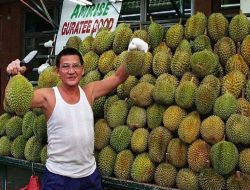 Malezya'da Meyvelerin Kralı "duryan"