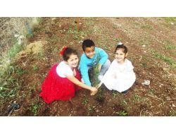 Minik Elleriyle Binlerce Ağaca Can Verecekler