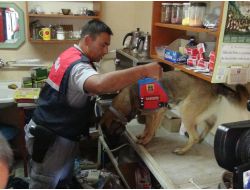Hatay’da Kaçakçılara Şafak Operasyonu