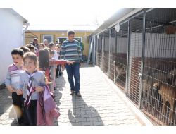 Minik İzciler Hayvan Barınağını Gezdi