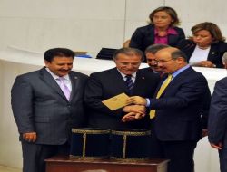 'Tamamen Deli Saçması'