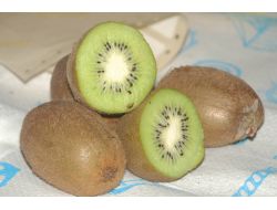 Rize'de Kivi Hasat Tarihi 15 Kasım Olarak Belirlendi