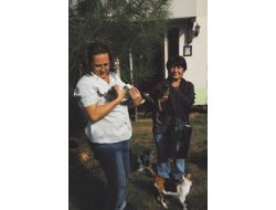 İstanbul'dan Getirilen 12 Yavru Kedi, Barınağa Teslim Edildi