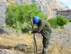 Belkahve Taşocakları Yeşil Vadi Oluyor