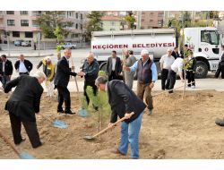 Keçiören Belediyesi'nden Karargahtepe Mahallesi'ne Fidan