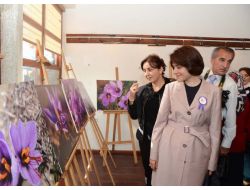 Safran Hasadı Başladı