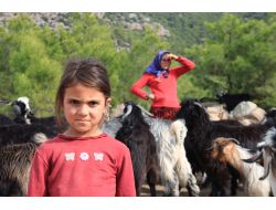 Sarıkeçili Yörükler Sahile İndi