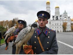 Kaçak Şahinler Kremlin’e Muhafız Oldu