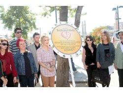 Hayvanseverlerden Hayvanları Koruma Kanunu Tasarısına Tepki