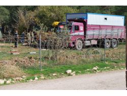Kobani Sınırına Konteyner Sevkiyatı Sürüyor