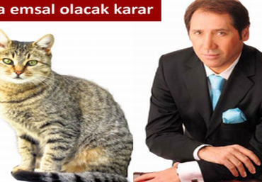 Kediye aylık 500 lira nafaka