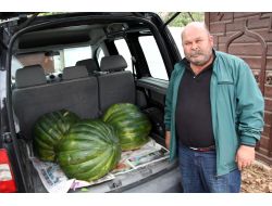 Yerli Tohumla 90 Kiloluk Bal Kabağı Yetiştirdi