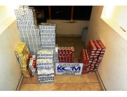 Artvin'de Büyük Operasyon